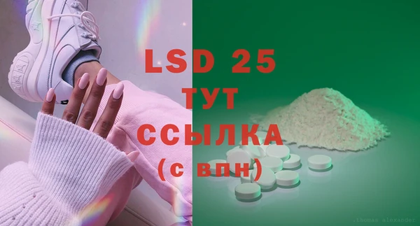 сатива Козловка