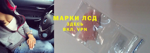 сатива Козловка