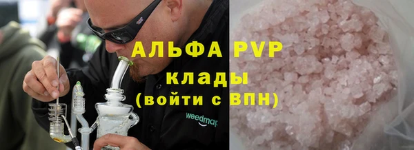 сатива Козловка