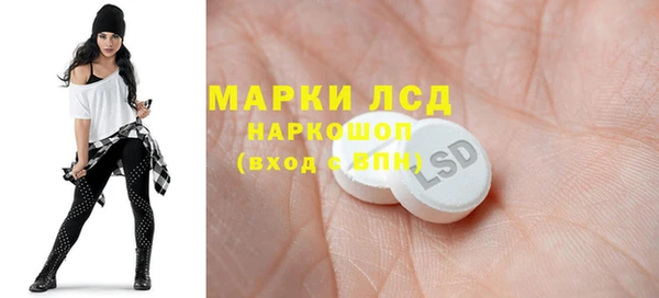 сатива Козловка