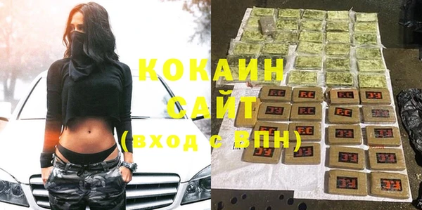 сатива Козловка