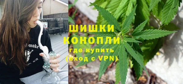 сатива Козловка