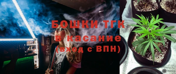 сатива Козловка
