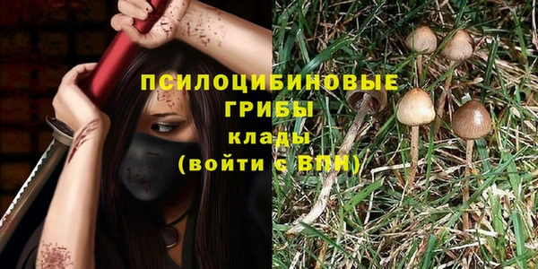 прущая мука Козельск