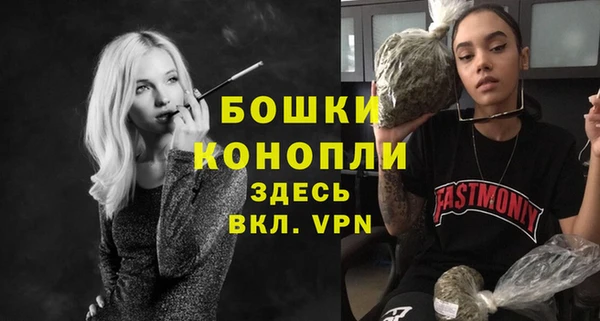 сатива Козловка