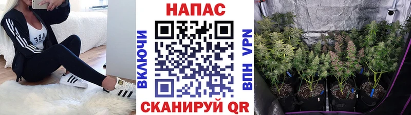 Купить  Тавда  Бошки марихуана THC 21% 